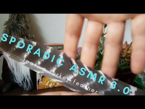 sporadic ASMR 3 0 feat. a turkey feather