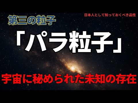 第三の粒子「パラ粒子」:宇宙に秘められた未知の存在(The Third Particle),#理論,417