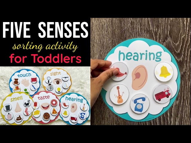 Amazing Five Senses Crafts for Preschool 3 sddefault