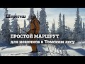 Шерегеш: мамкин фрирайд Томского леса от подсечки к Скайвею - простой маршрут для начинающих.