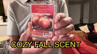 ScentSationals Cinnamon Apples Wax Melts Review