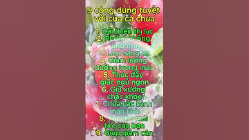 9 công dụng tuyệt vời của cà chua