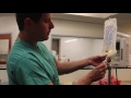 IV Line Assembly Tutorial for Veterinary Technicians