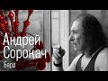 Андрей Сорокач • Традиция Свобода Музыка