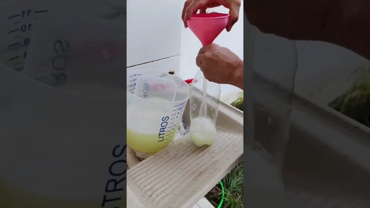 Best Homemade Weed Killer I Ve Ever Seen Now Only Do It Like This 