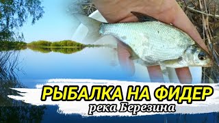 Рыбалка на фидер 2023 в Беларуси