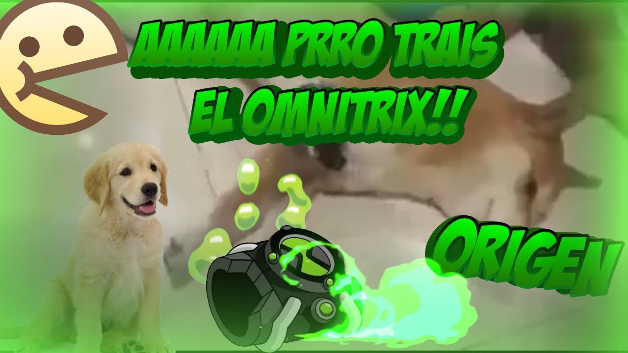 Aaaa Perro traes él Omnitrix [Origen] - YouTube