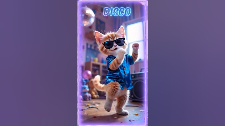Chaton mignon danse le disco 🐱🕺#shorts  #cat #cute #chat #animals #kitten #dance #funnycats #mignon