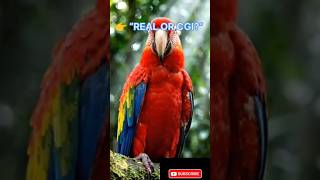 “These Birds Don’t Look Real But They Are 😳 (8K Wildlife)” #viralvideo #colorfulbirds #birds #shorts