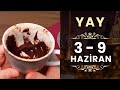 YAY BURCU  3 - 9 HAZİRAN 2024 KAHVE FALI ( Haftalık Burç Yorumları )