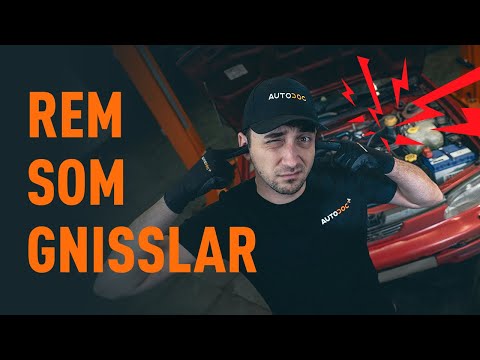 Så gör du om remmen gnisslar | AUTODOC tipsar