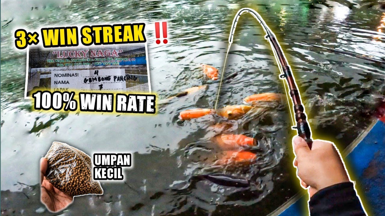 BELUM PERNAH KALAH‼️3 KALI KESINI SELALU ADA REJEKINYA GALATAMA IKAN MAS LUCKY NAGA PONOROGO