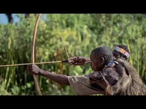 ÌRÒYÌN YAJO YAJO ÀGBÁKÒ ŃLÁ ỌDẸ KÚKÚ ORO NI ÌPÍNLẸ ADAMAWA