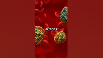 Good And Bad Cholesterol Level: Quick View #cholesterol #healthtips