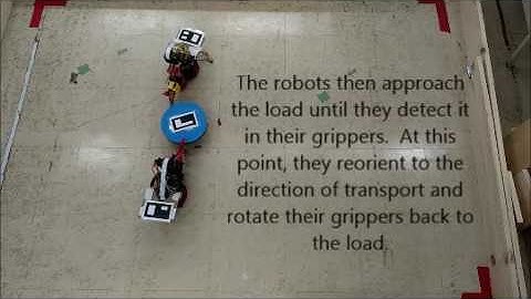 Two Pheeno Robots Performing a Partly Centralized Collective Transport Task