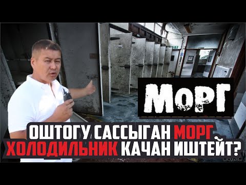 Video: Антипиретиктер качан иштейт?