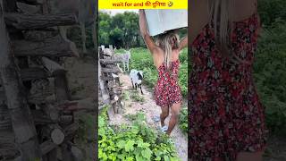 Logon Ke Gajab Karname  Part 35shorts comedy