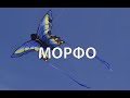 Воздушный змей Синяя Морфо