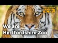 We are hertfordshire zoo