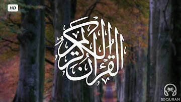 تلاوة خاشعة .. قرآن كريم مشاري راشد | حالات واتس اب دينية | مقاطع دينية قصيرة