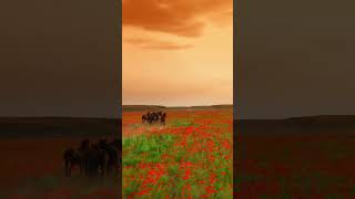 4K8K-Drone-X1Z Muhteşem Doğa Şehir Manzaraları Stunning Nature City Views 4K 8K Ultra Hd