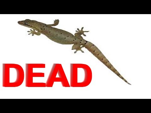Another Death: Mourning