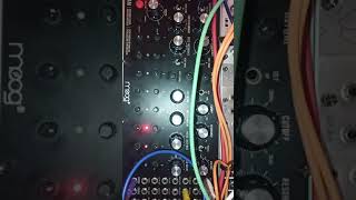 Klangbau Köln Twin Peak Resonator - Eurorack Module on