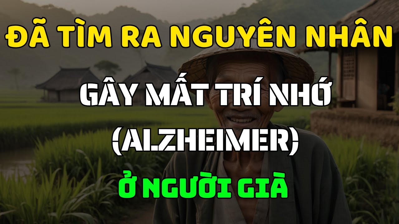 Outline Video 5 Thói Quen Hàng Ngày Gây Alzheimer Ở Người Già, Hãy Thay Đổi Ngay Hôm Nay!