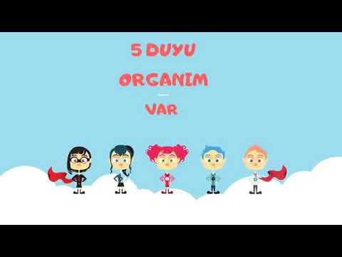 Beş Duyu Organım Var