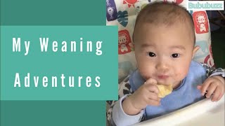 What my baby eats | 6 to 7 months old baby led weaning easy healthy homemade food ideas