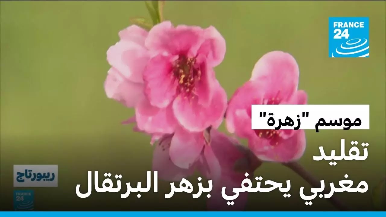 ���� -����- �� �����: ����� ���� ����� ��� ��������
 - نشر قبل 7 دقيقة