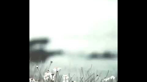 سورة الزمر صوت الشيخ سعدون حمادي حفظه الله