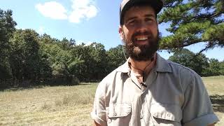 Bumble Bee Attack After Action Report