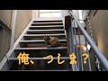俺、つしま？
