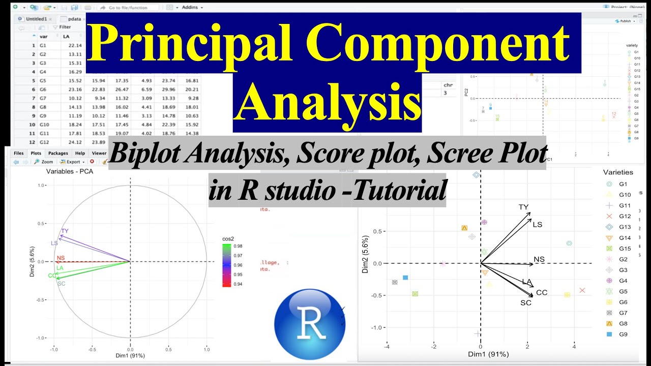 Principal Component Analysis (PCA) in R studio | Biplot in R |Tutorial