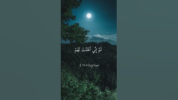 سورة نوح || ماهر المعيقلي || تلاوة خاشعة ارح سمعك .