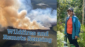 Wildfire Management Using Remote Sensing