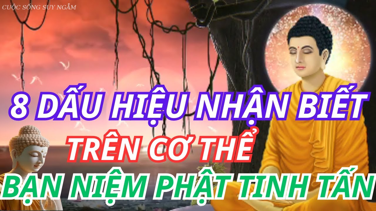 Outline Video 8 Dấu Hiệu Nhận Biết Trên Cơ Thể Khi Bạn Niệm Phật | CUỘC SỐNG SUY NGẪM