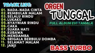DANGDUT ORGEN TUNGGAL KOLEKSI ALBUM EVI TAMALA TERBAIK 2024