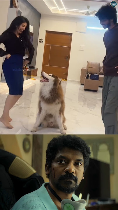 என்னங்கடா எல்லாரும் இந்த மாதிரி எறங்கிடீங்க..!!! #huskydance #vijayantony #sameerreddy #ichuichusong