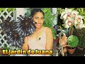 tour por el jardin de Juana  | un jardin lleno de amor y dedicacion