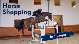 Trying Horses in Europe!