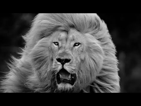 صحى ضميرك وأتقي الله في من حولك Healthy Your Conscience