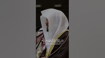 ما تيسر من سورة الطلاق،  القارىء الشيخ ياسر الدوسري #القرآن_الكريم #ياسر_الدوسري #الحمد_لله #غزة