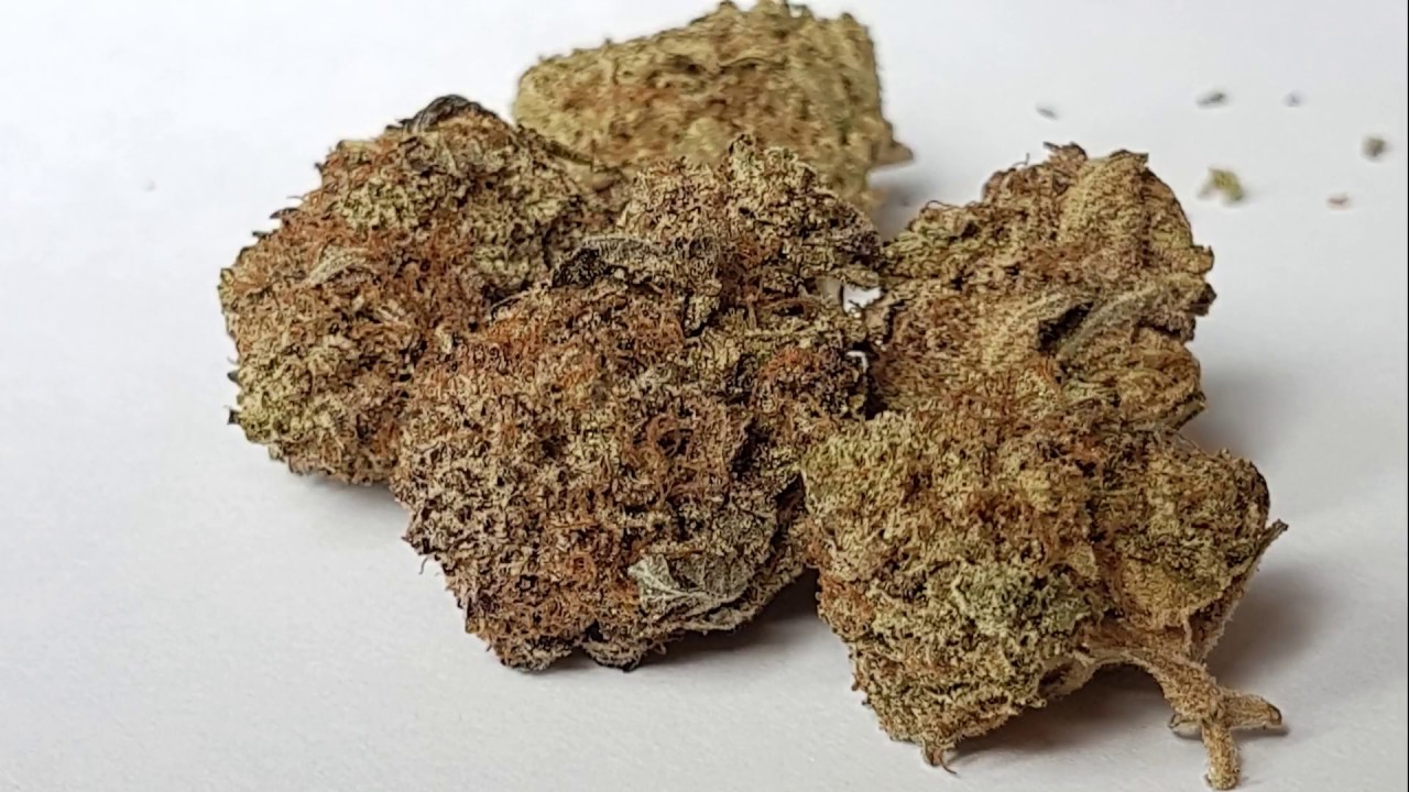 Strain Review - Agent Banana by ThugPug Genetics