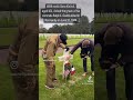 Wwii combat medic visits his comrade in arms killed in normandy wwii ww2 memorialday normandy 