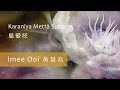 Karanīya Mettā Sutta 慈爱经 by Imee Ooi 黄慧音