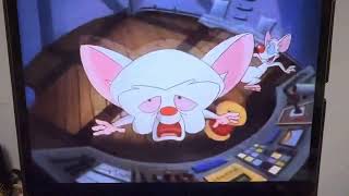 Pinky and the Brain in Oz