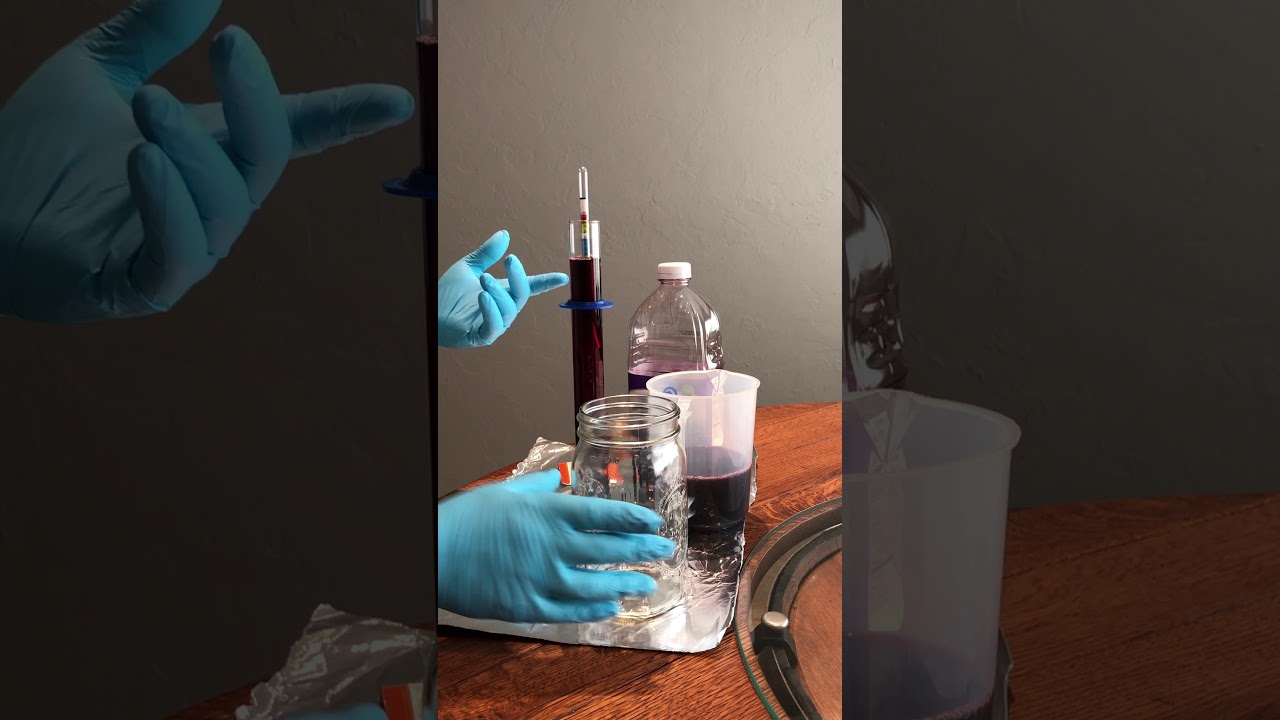 Fermentation of grape juice Day 0 YouTube