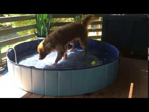 Jasonwell Foldable Dog Pet Bath Pool